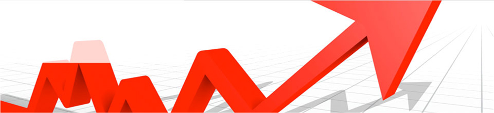 Profit Accounts -
