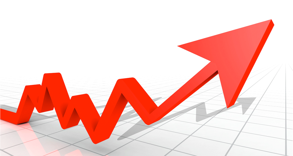 Profit Accounts -
